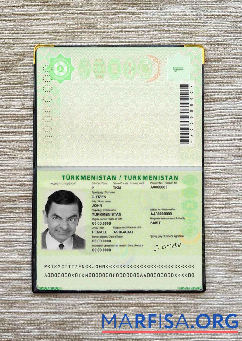 Printable Turkmenistan passport (2018 present) photo look example